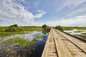 Olhos do Pantanal_ponte_8978