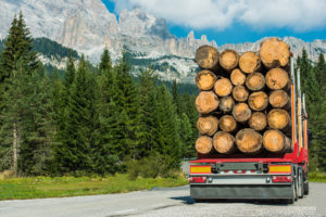 Timber Lumber Truck Delivery
